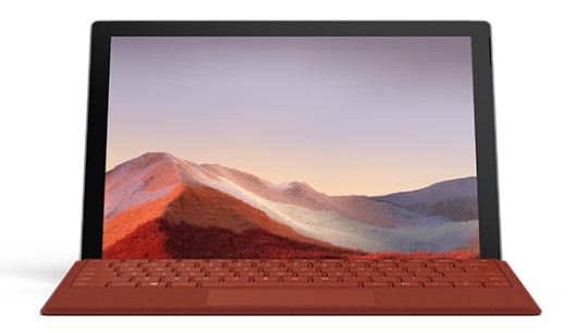 红毛镇清洁和维护 Surface